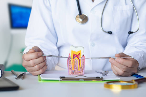 Best Weekend Emergency Dentist in Port Huron, MI
